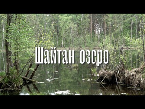 Видео: Шайтанка