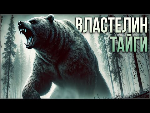 Видео: ВЛАСТЕЛИН ТАЙГИ | Таёжные Истории