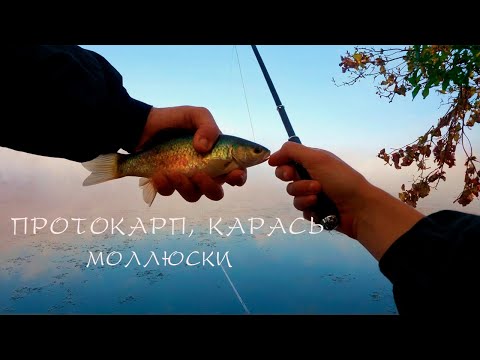 Видео: Холодная ВОДА?! С этим тестом будет ЖАРКО!