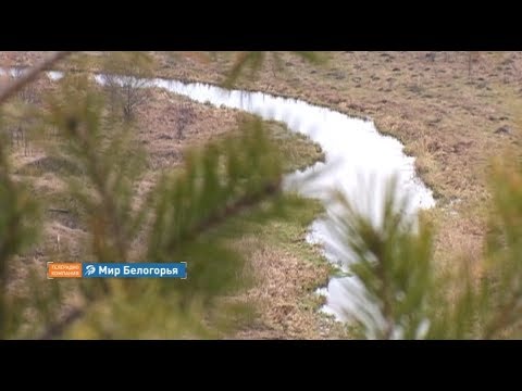 Видео: «Сельский порядок». Готовье Красненского района (17.01.2018)