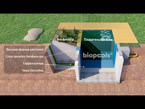 Видео: Что такое биобассейн?