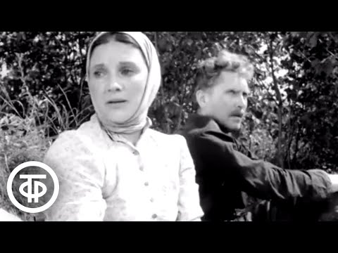 Видео: Егерь. Короткометражный фильм по рассказу Антона Чехова (1959)