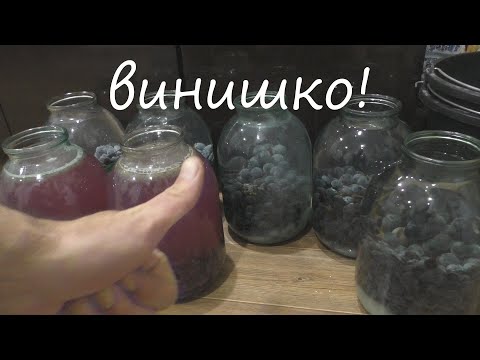 Видео: Делаем наливку из винограда!