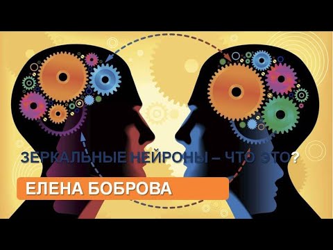 Видео: Зеркальные нейроны – что это? ( лекция нейрофизиолога Е. Бобровой)