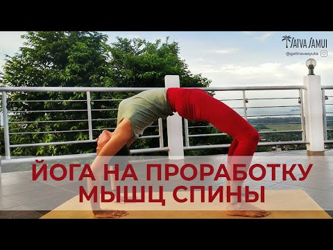 Видео: ПРОРАБОТКА МЫШЦ СПИНЫ. УКРЕПЛЕНИЕ СПИНЫ. КАК РАЗВИТЬ ГИБКОСТЬ СПИНЫ?