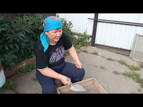 Видео: Была администрация такого я не ожидала