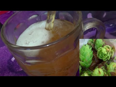 Видео: Пиво на диком хмеле!!!