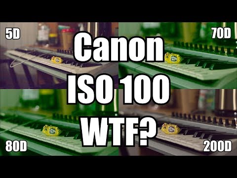 Видео: ISO это НЕ fake! По крайней мере в Canon. Тесты 5D, 70D, 80D и 200D!