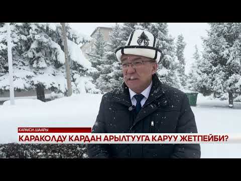 Видео: Караколду кардан арылтууга каруу жетпейби?