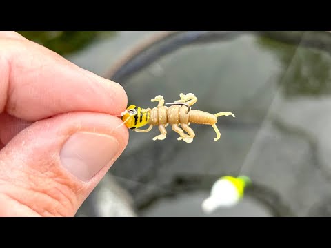 Видео: Эта установка — просто конфета из краппи!