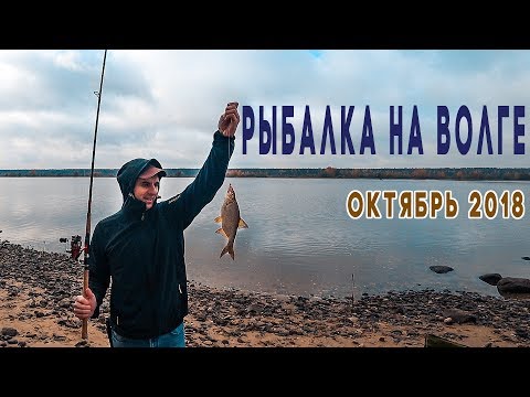 Видео: РЫБАЛКА в Ярославской области | Мышкино Подворье | Плотва, Подлещик. Фидер из спиннинга