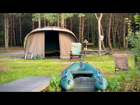 Видео: Почався кльов з самого початку. Ловля коропа в лісі