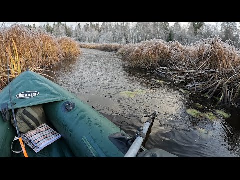Видео: Выезд на реку в октябре
