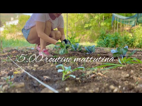 Видео: Летнее утро мамы на 5 часов | Держи меня на зиму