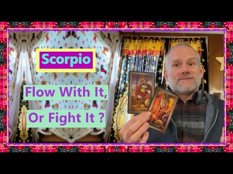Видео: Скорпион — плыть по течению или бороться?