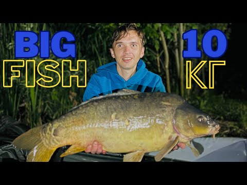 Видео: Риболовля на водоймі Карпич | Трофейний карп!