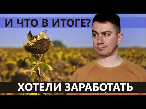 Видео: Итоги засухи 2024 года. Считаем урожайность подсолнечника. Рапс. Строительство линии в разгаре.