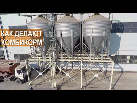 Видео: Как устроен комбикормовый завод? Как делают комбикорм? СПУ Протасовщина, Беларусь