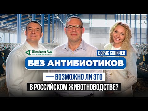 Видео: Безантибиотическое животноводство. Можно ли производить безопасное мясо и молоко без антибиотиков?