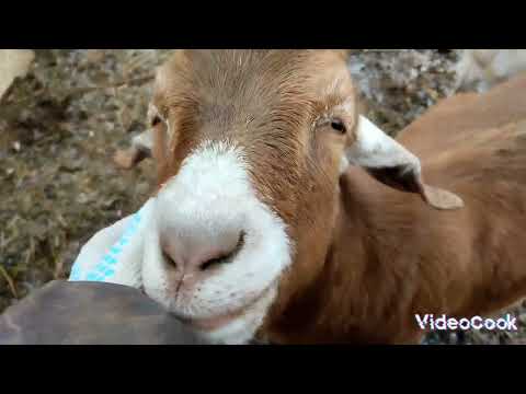 Видео: Теперь только утепляемся