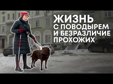 Видео: Собака-поводырь. Друг, помощник и спасатель.