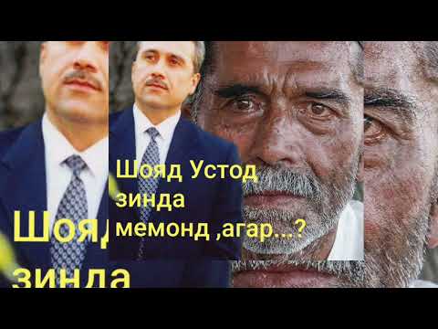 Видео: Шояд Курбонали Абдуллоев зинда мемонд, агар...? Кош светофор сабз намешуд.😢