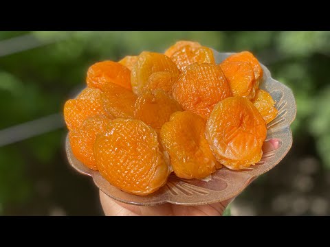Видео: Ինչպես պատրաստել ծիրանաչիր 🍑Չիր #Ծիրանաչիր #сухофрукты #абрикос