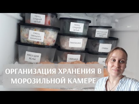 Видео: ОРГАНИЗАЦИЯ ХРАНЕНИЯ В МОРОЗИЛЬНОЙ КАМЕРЕ/МОТИВАЦИЯ НА УБОРКУ