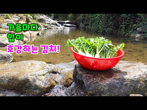 Видео: Каждую осень наслаждаюсь вкуснейшим домашним кимчи~🌶🥦