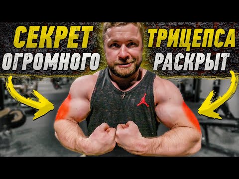 Видео: КАК НАКАЧАТЬ ТРИЦЕПС  - Работает на все 100%
