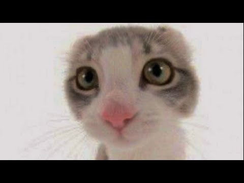 Видео: Музыка для флешмоба🌹💋