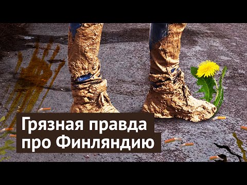 Видео: Как навести порядок в экологии: пример Лахти