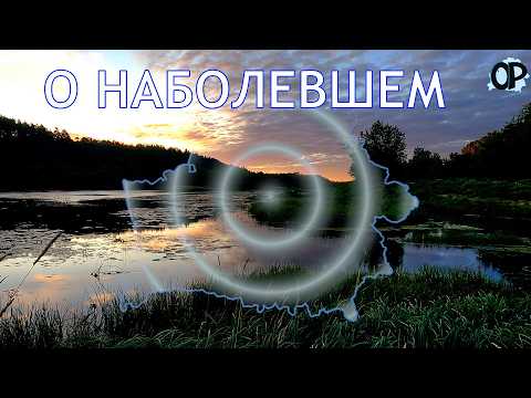 Видео: О НАБОЛЕВШЕМ. О разноплановом мусоре на берегах –бытовом, биологическом и шумовом.