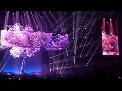 Видео: Anna Asti - 09 Как любовь твою понять? (Шоу ФЕНИКС - МТС Live Холл 21.10.2023)