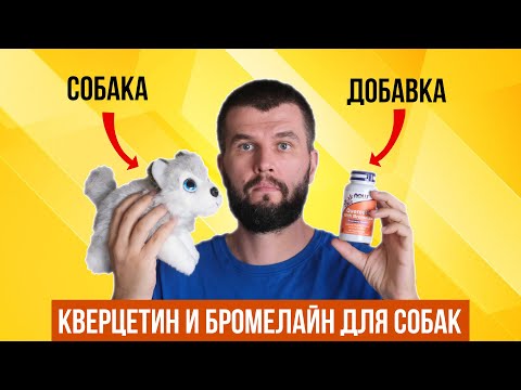 Видео: Кверцитин и бромелайн для собак