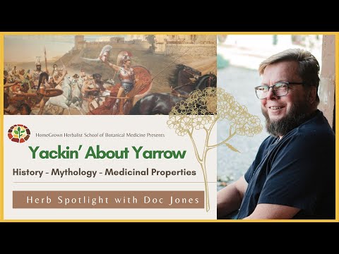 Видео: Болтаем о тысячелистнике — супертраве для заживления ран!