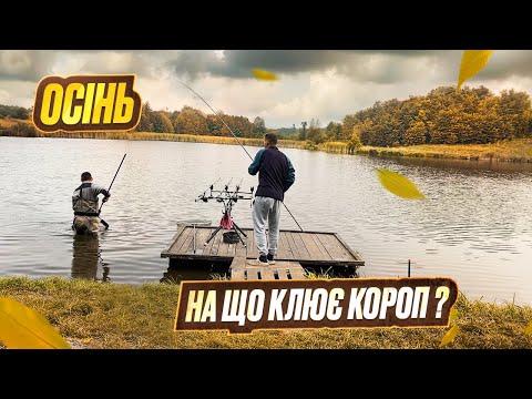 Видео: ЯК ПІЙМАТИ ТРОФЕЙНОГО КОРОПА ВОСЕНИ? Найкраща насадка на КОРОПА!