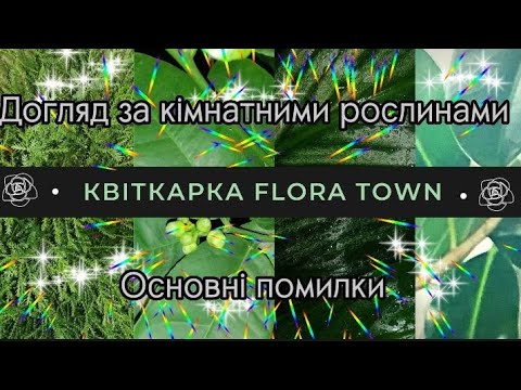 Видео: Розповсюджені помилки у догляді рослин.Квіти втрачають листя, чахнуть, гинуть #кімнатнірослини