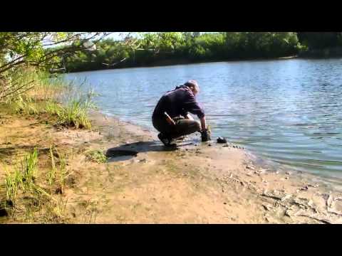 Видео: Выживание или минимизация потребностей