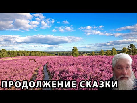 Видео: Продолжение Сказки