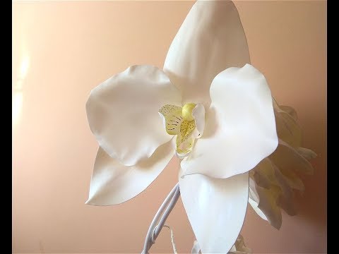 Видео: ОРХИДЕЯ ИЗ ИЗОЛОНА МК