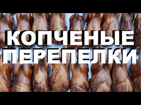 Видео: КОПЧЕНЫЕ ПЕРЕПЕЛКИ. OXOТА НА КУБАНИ 2023. РЕЦЕПТЫ СЮФ