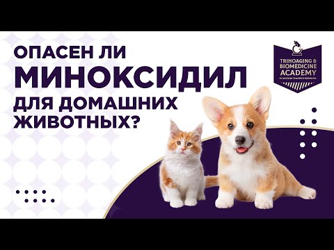 Видео: Опасен ли миноксидил для домашних животных?