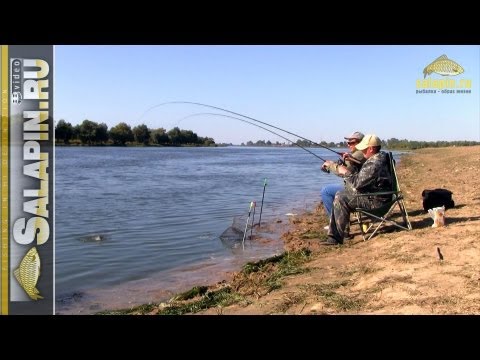 Видео: Ловля фидером сазанчиков на нижней Волге [salapinru]