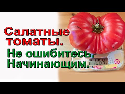 Видео: Салатные томаты. Не ошибитесь. Начинающим.