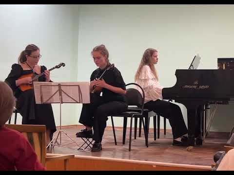 Видео: Цинцадзе - Сачидао (переложение Лукина)