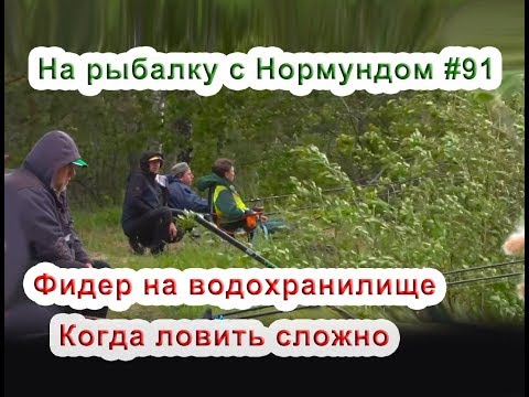 Видео: Фидер на водохранилище. Когда ловить сложно! На рыбалку с Нормундом #91