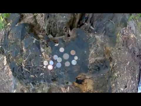 Видео: ПОИСК МОНЕТ В ЛЕСУ КОП ДЛЯ ДУШИ ВЫПУСК 2