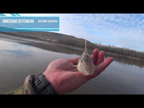 Видео: Рыбалка в ноябре , река Горынь день второй