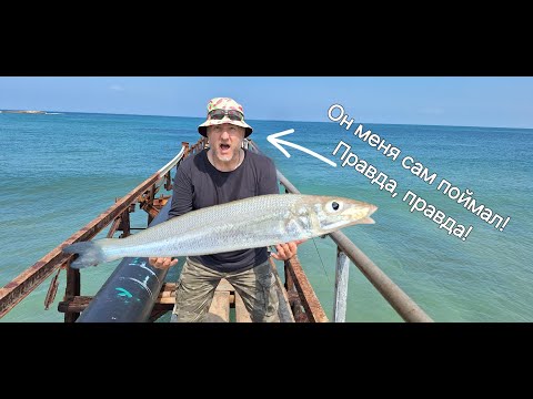 Видео: Сумасшедшая рыбалка в Атлите. Crazy fishing in Atlit.